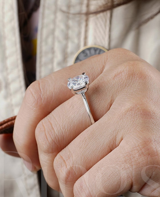 collection-banner1.1